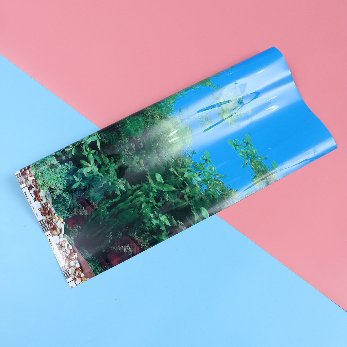 Fish In Aquarium Picture - Papel Tapiz 3D para Acuario, Fondo