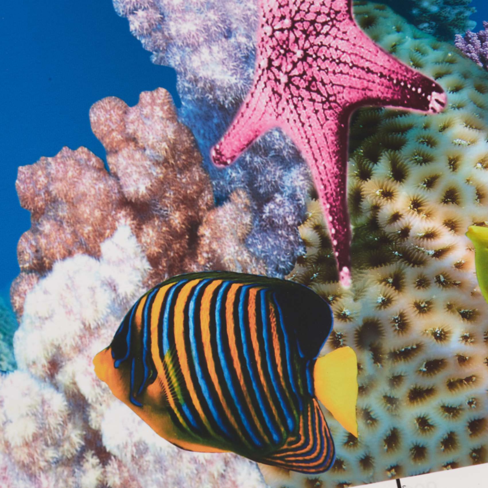 Fish In Aquarium Picture - Papel de Fondo para Acuario ABWR,
