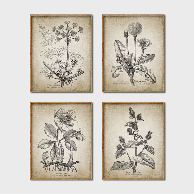Live Plant Fertilizer - Pósteres e impresiones botánicas antiguas, arte