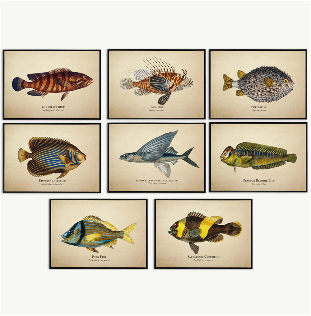 Fish In Aquarium Picture - Cuadros Vintage de Peces Tropicales, Medusas