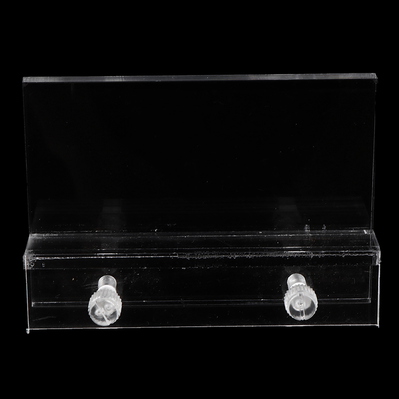 Fish In Aquarium Picture - Soporte de luz LED transparente para