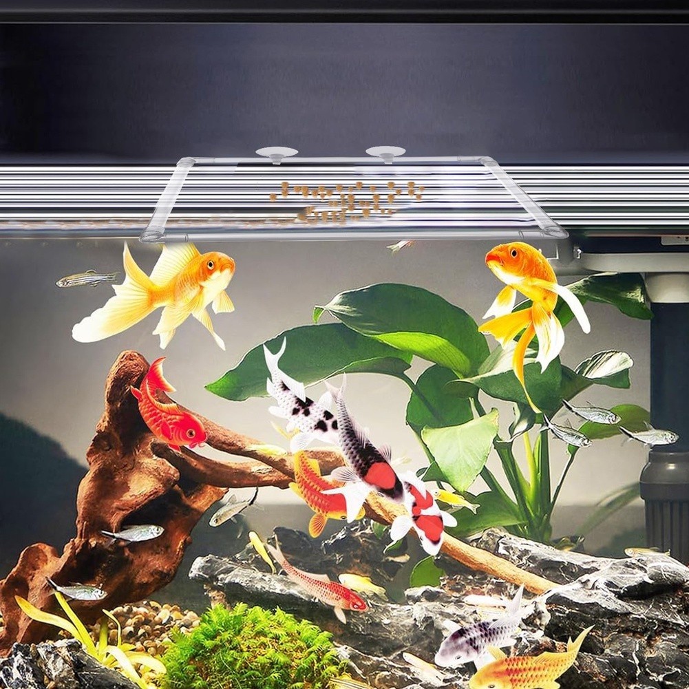 Aquarium Fish Zone - Corral Flotante para Plantas de Acuario,