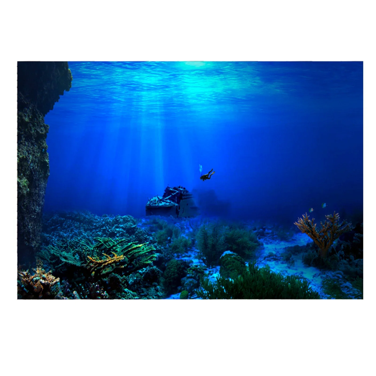 Fish In Aquarium Picture - Fondo de acuario de selva tropical,