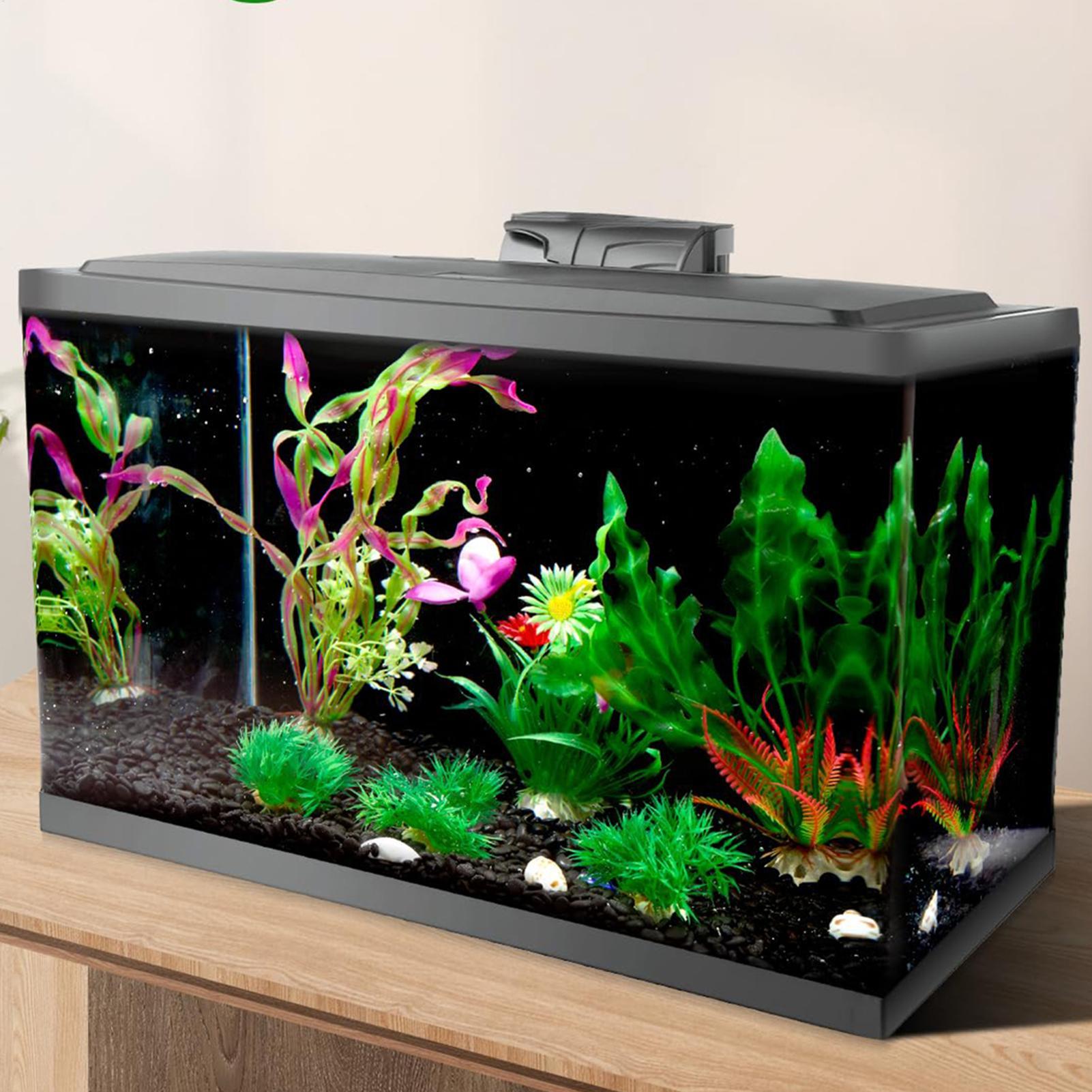 Fish In Aquarium Picture - Fondo de Acuario Negro, Papel Tapiz