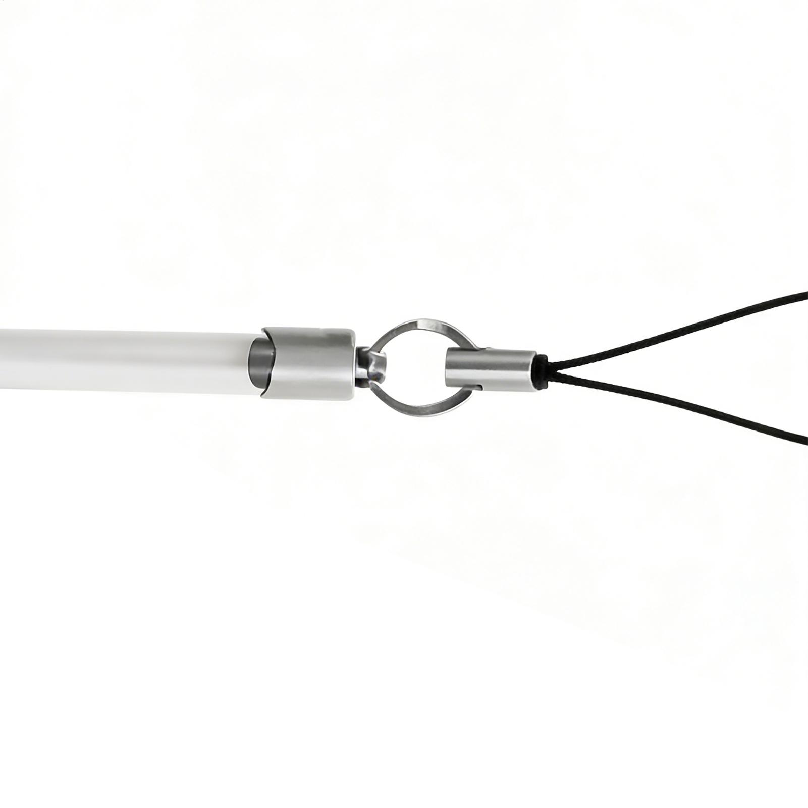 Aquarium Fish Game - Varilla de entrenamiento para peces, juego