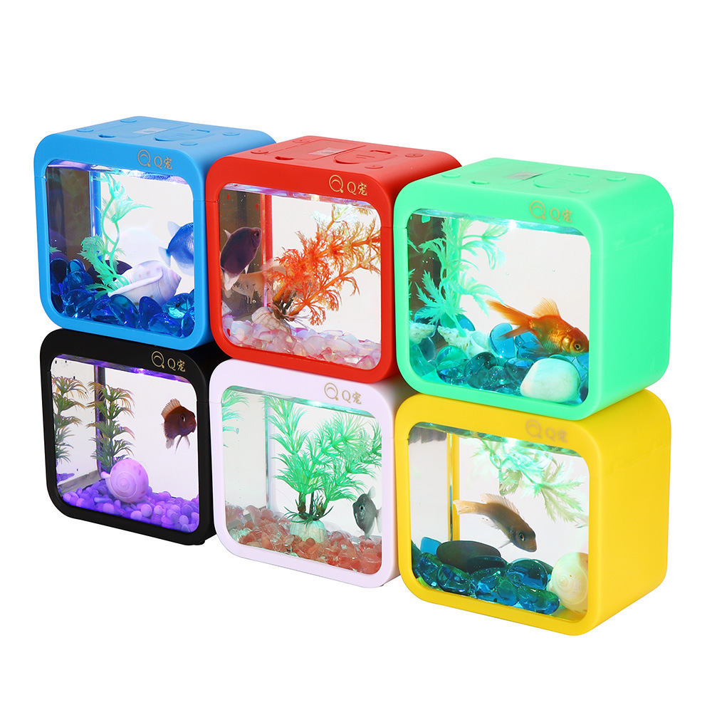 Caja Betta creativa colorida c - Aquarium Fish Game reseña y precio