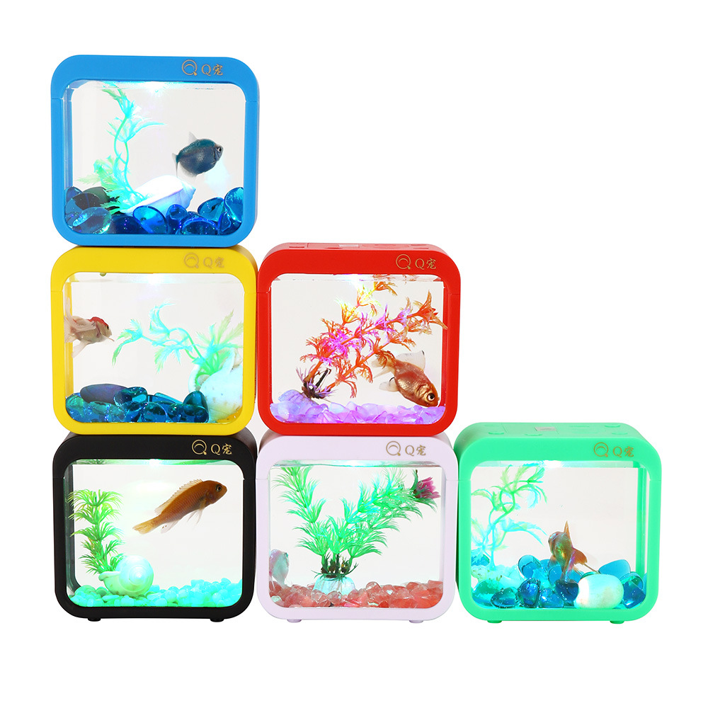 Caja Betta creativa colorida c - Aquarium Fish Game reseña y precio