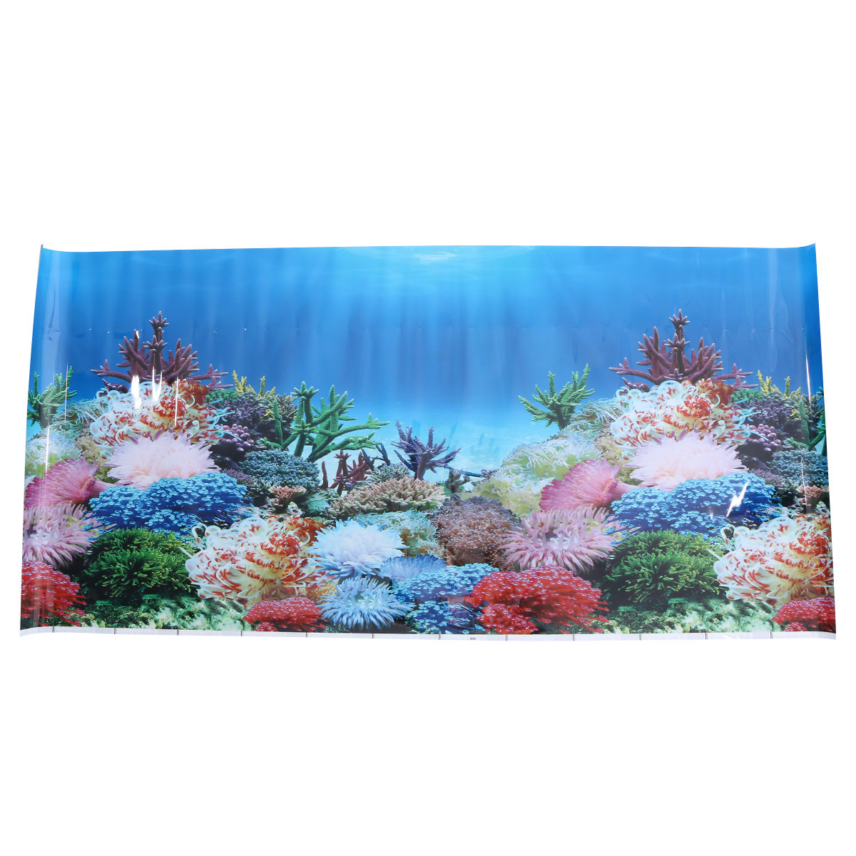 Papel Tapiz 3D para Acuario, F - Fish In Aquarium Picture reseña y precio