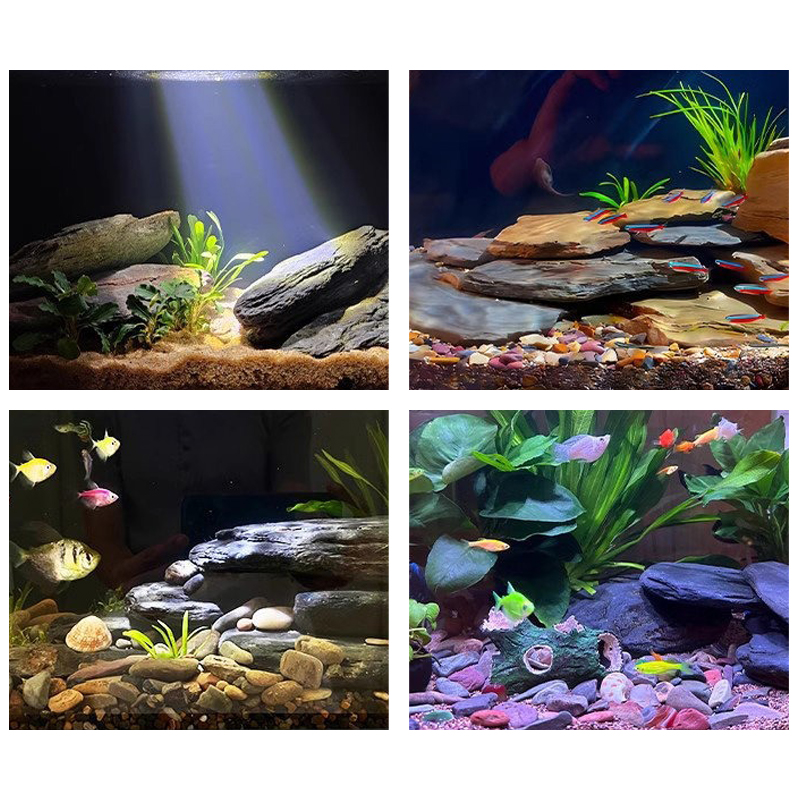 Kit de piedras para paisajismo - Aquarium Fish Bowl reseña y precio