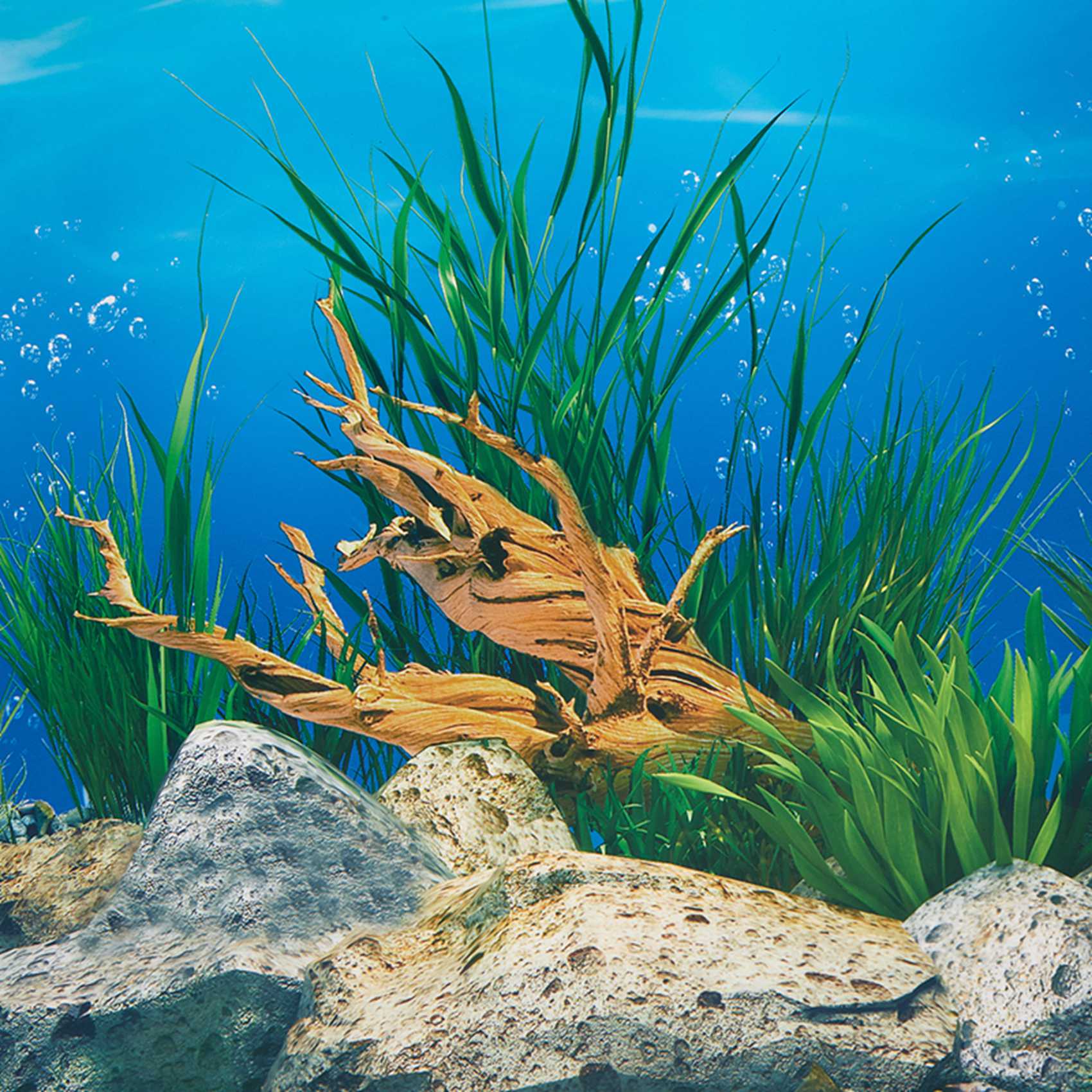 Papel de Fondo para Acuario AB - Fish In Aquarium Picture reseña y precio