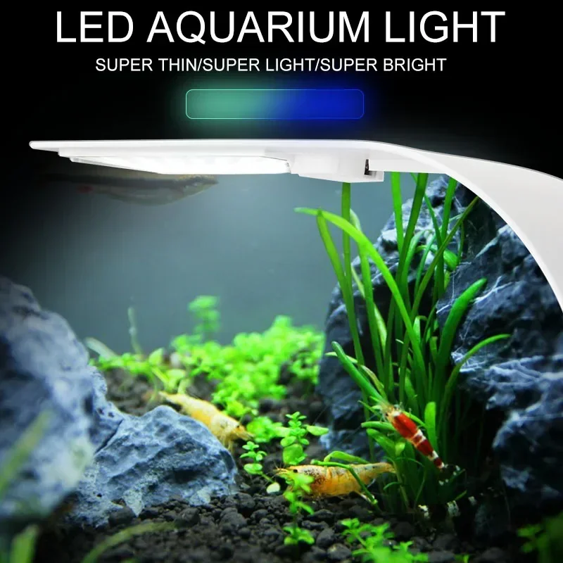 Luz LED ultrafina para acuario - Fish In Aquarium Picture reseña y precio