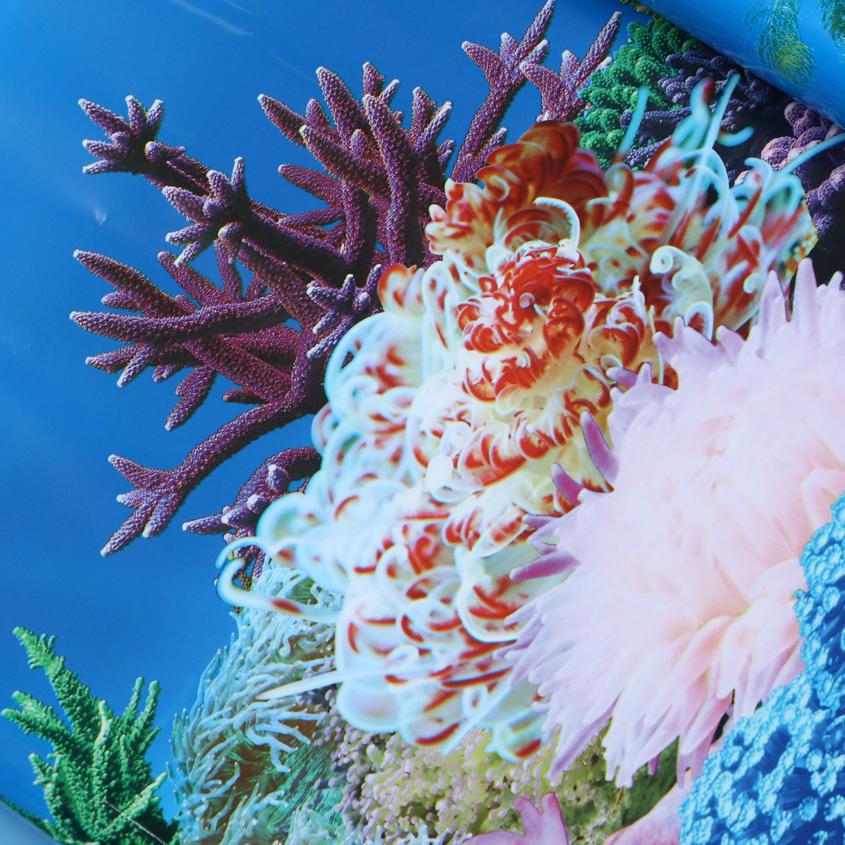 Papel Tapiz 3D para Acuarios,  - Fish In Aquarium Picture reseña y precio