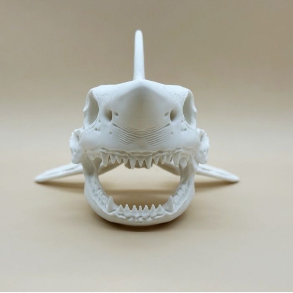 Cráneo de Tiburón Impreso en 3 - Aquarium Fish Games reseña y precio