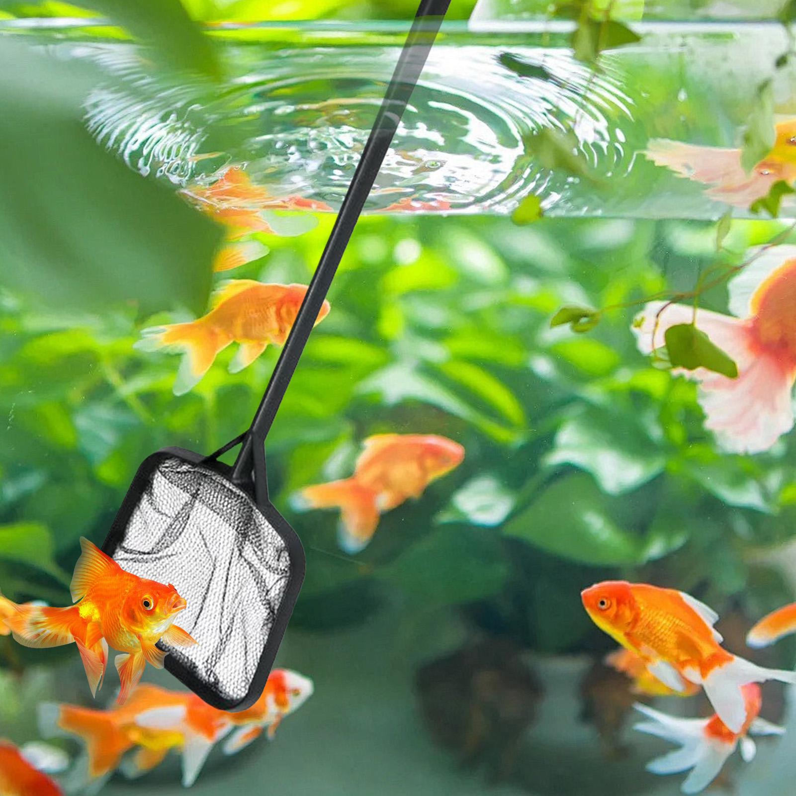 Redes de limpieza para piscina - Aquarium Fish Items reseña y precio