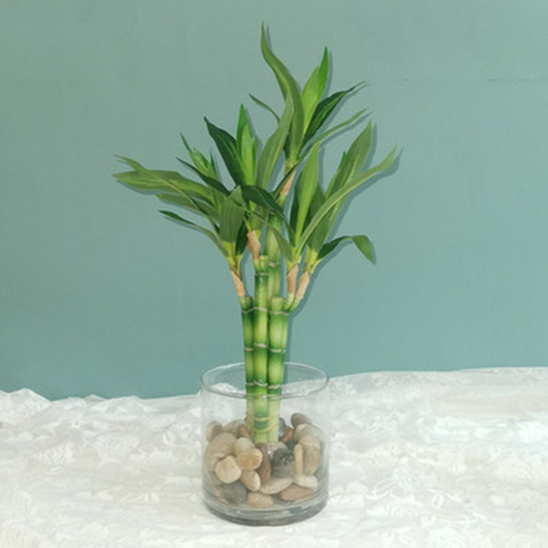 Nuevo 40cm rFtificial Lucky Ba - Aquarium Fish Items reseña y precio