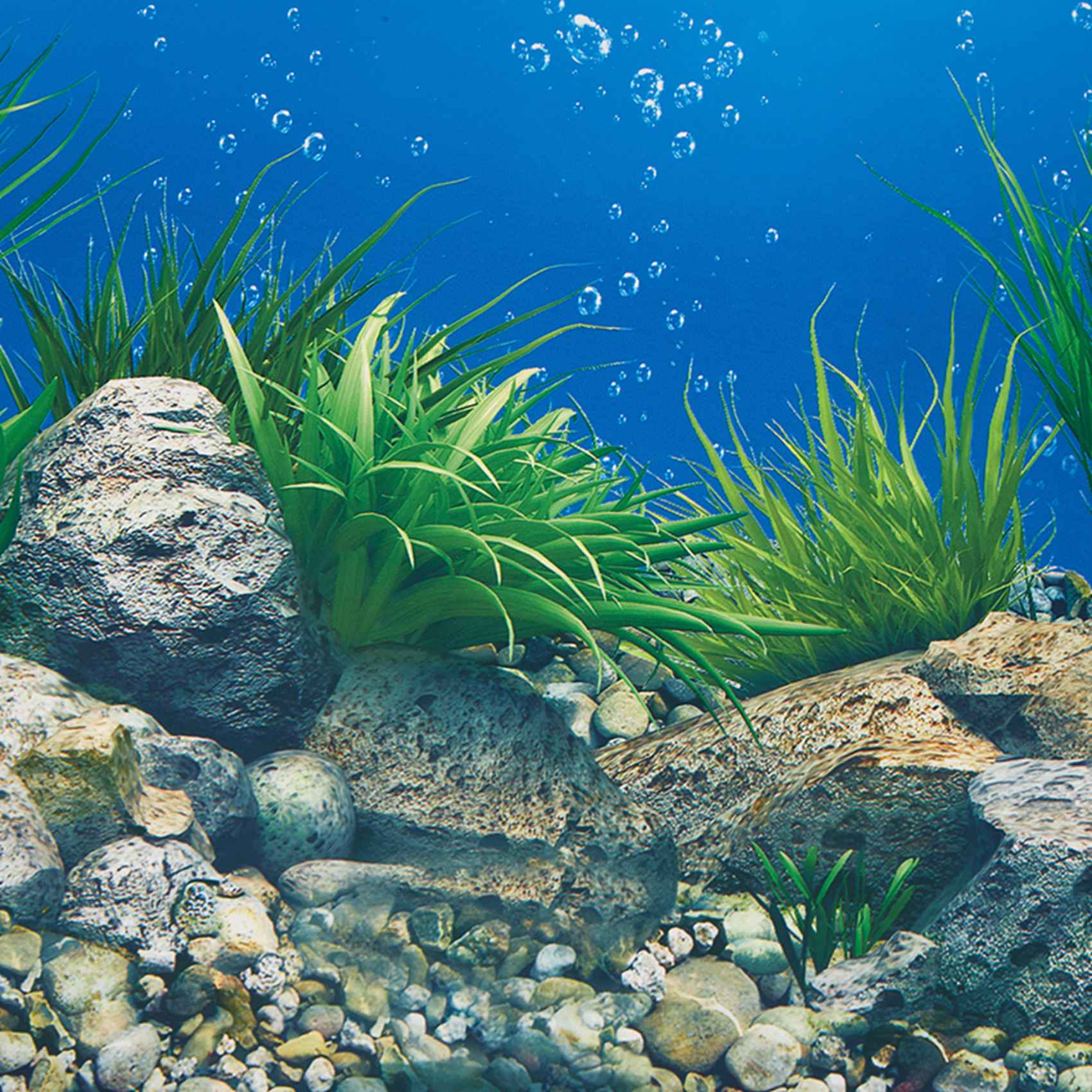 Papel de fondo para acuario A7 - Fish In Aquarium Picture reseña y precio