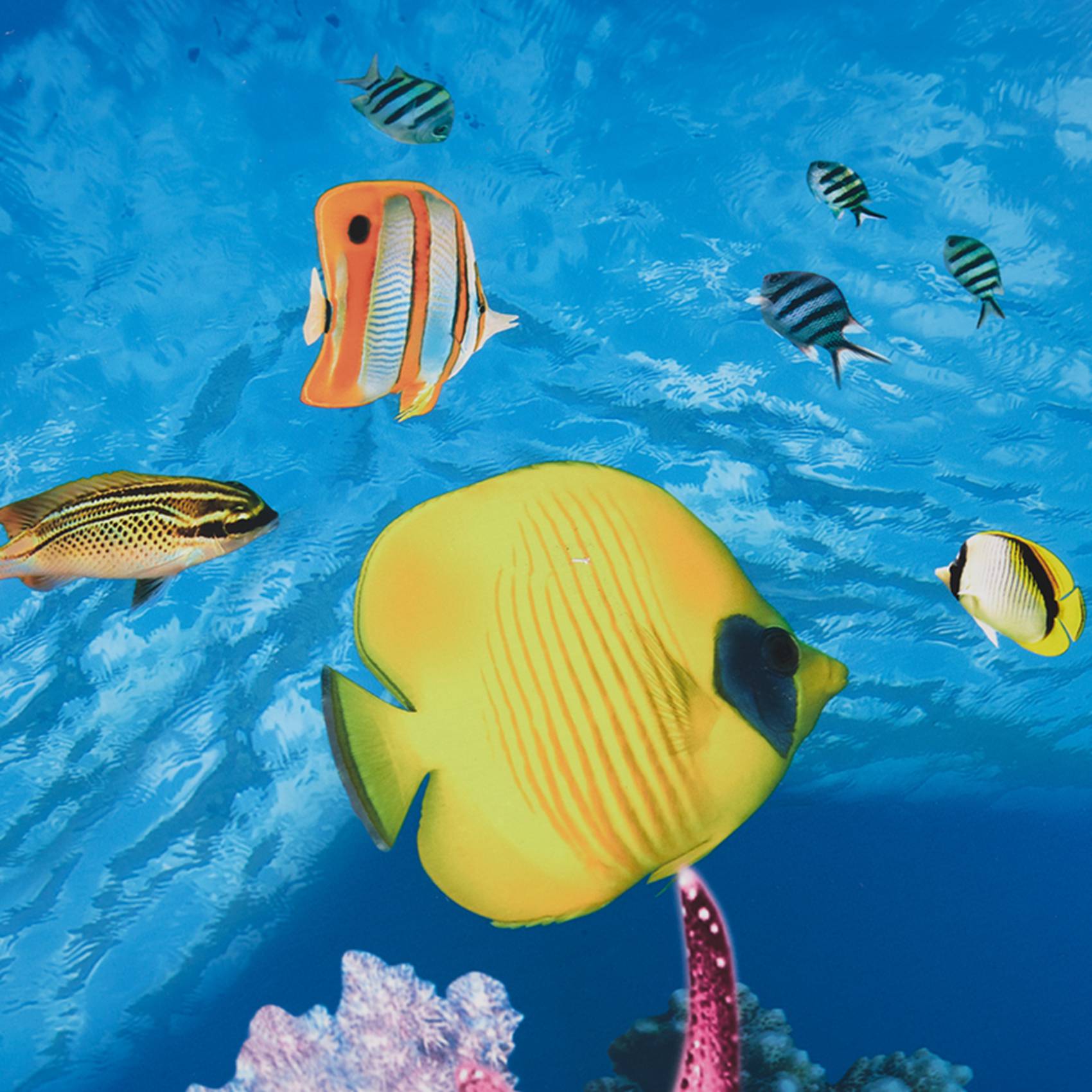Papel de fondo para acuario A7 - Fish In Aquarium Picture reseña y precio