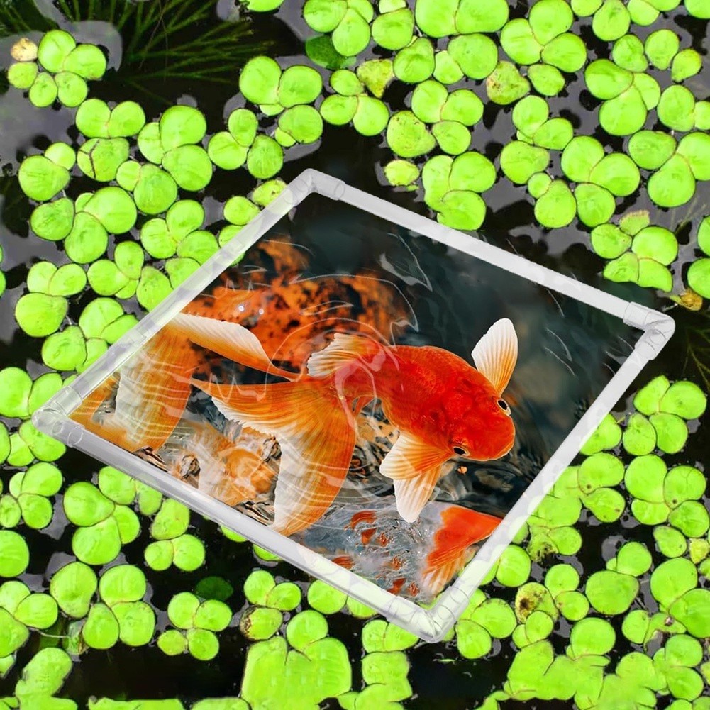 Corral Flotante para Plantas d - Aquarium Fish Zone reseña y precio