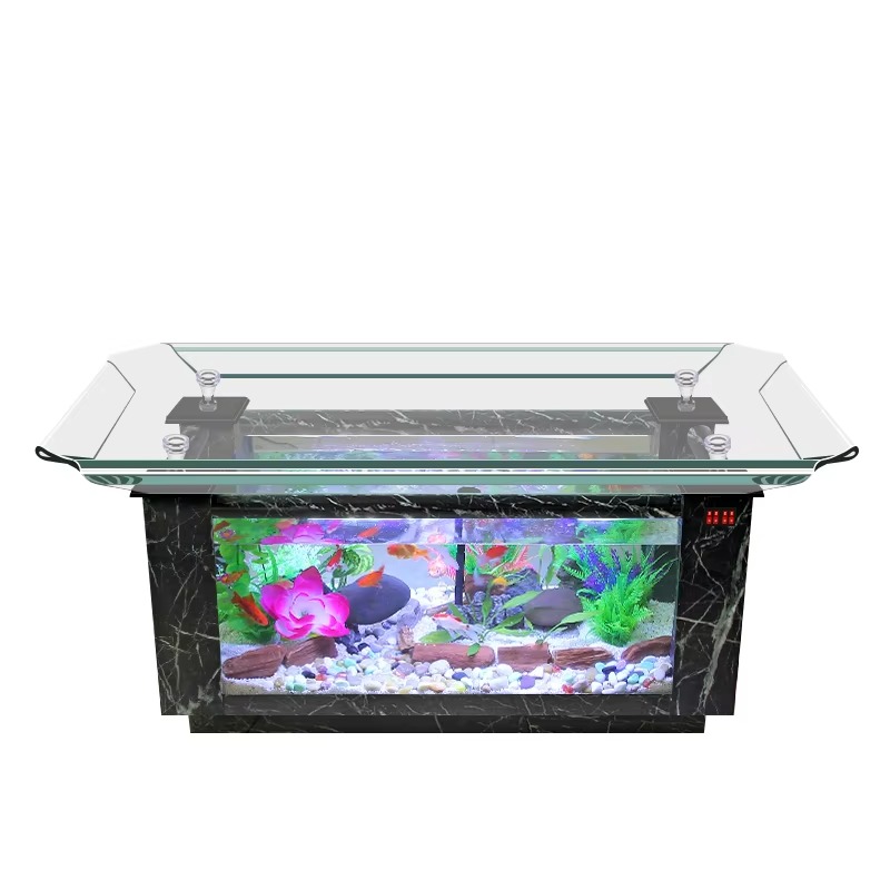 Precio de Acuario Marino 2026  - Aquarium Fish High Price reseña y precio