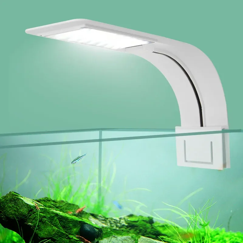 Luz LED Superfina para acuario - Fish In Aquarium Picture reseña y precio