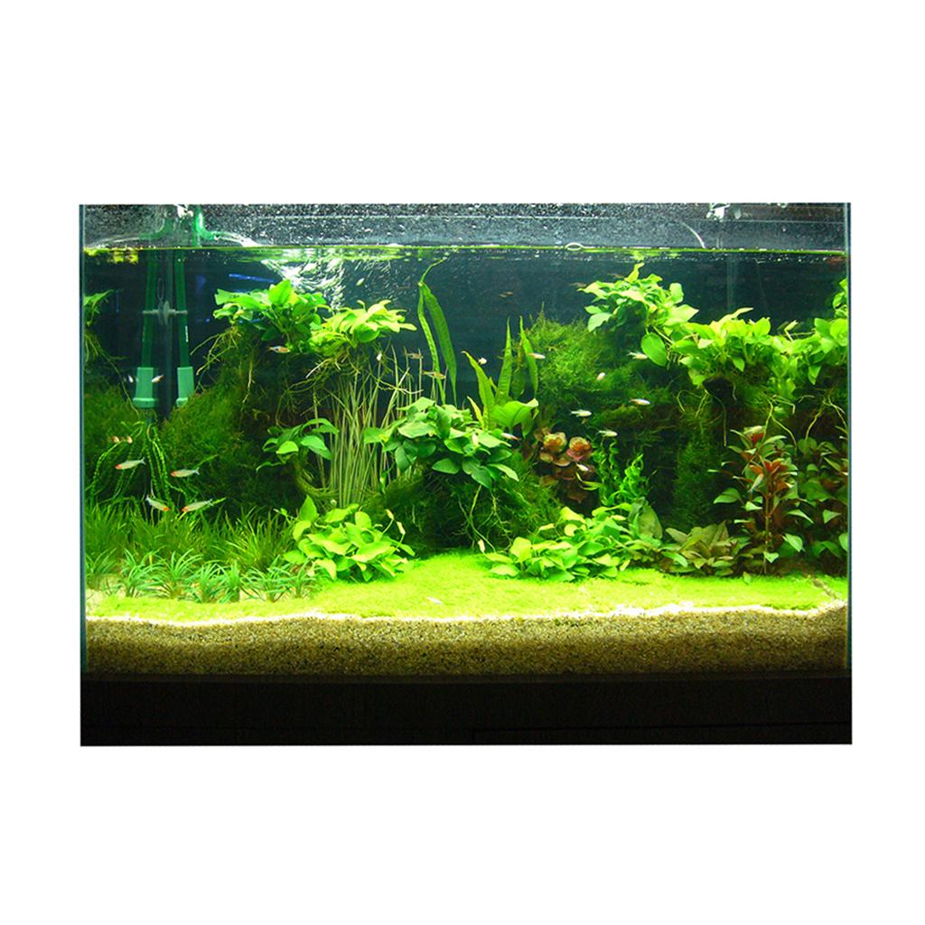 Pegatina 3D para Pecera, Image - Fish In Aquarium Picture reseña y precio