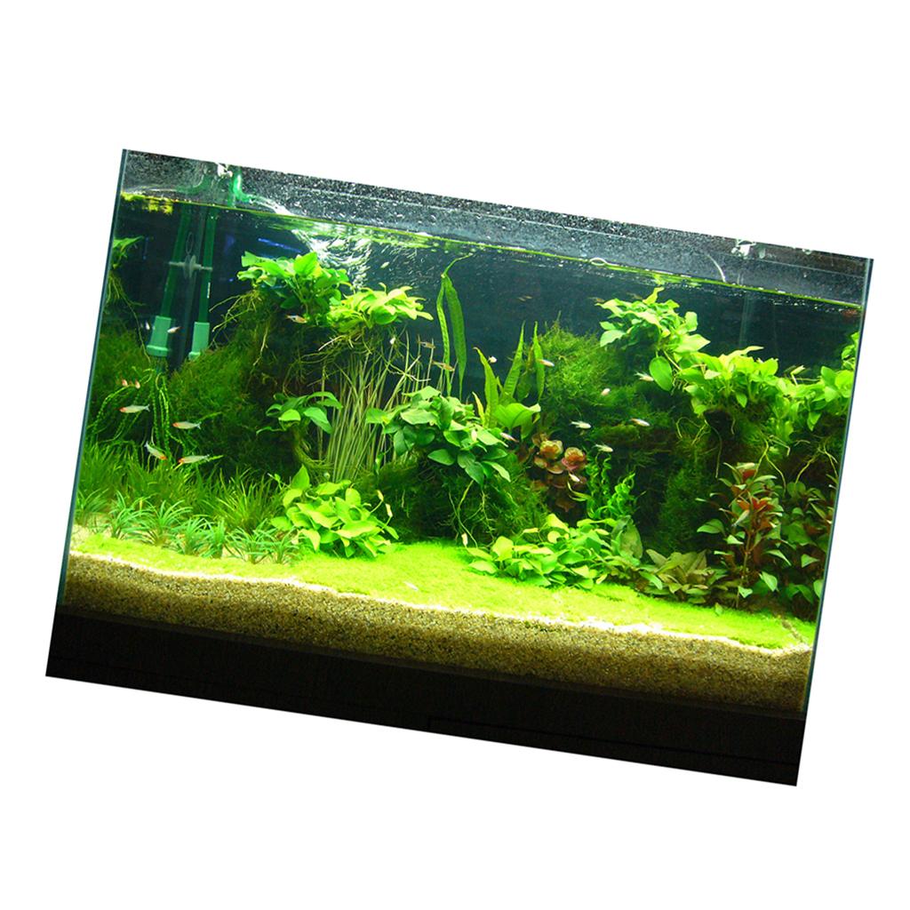 Pegatina 3D para Pecera, Image - Fish In Aquarium Picture reseña y precio