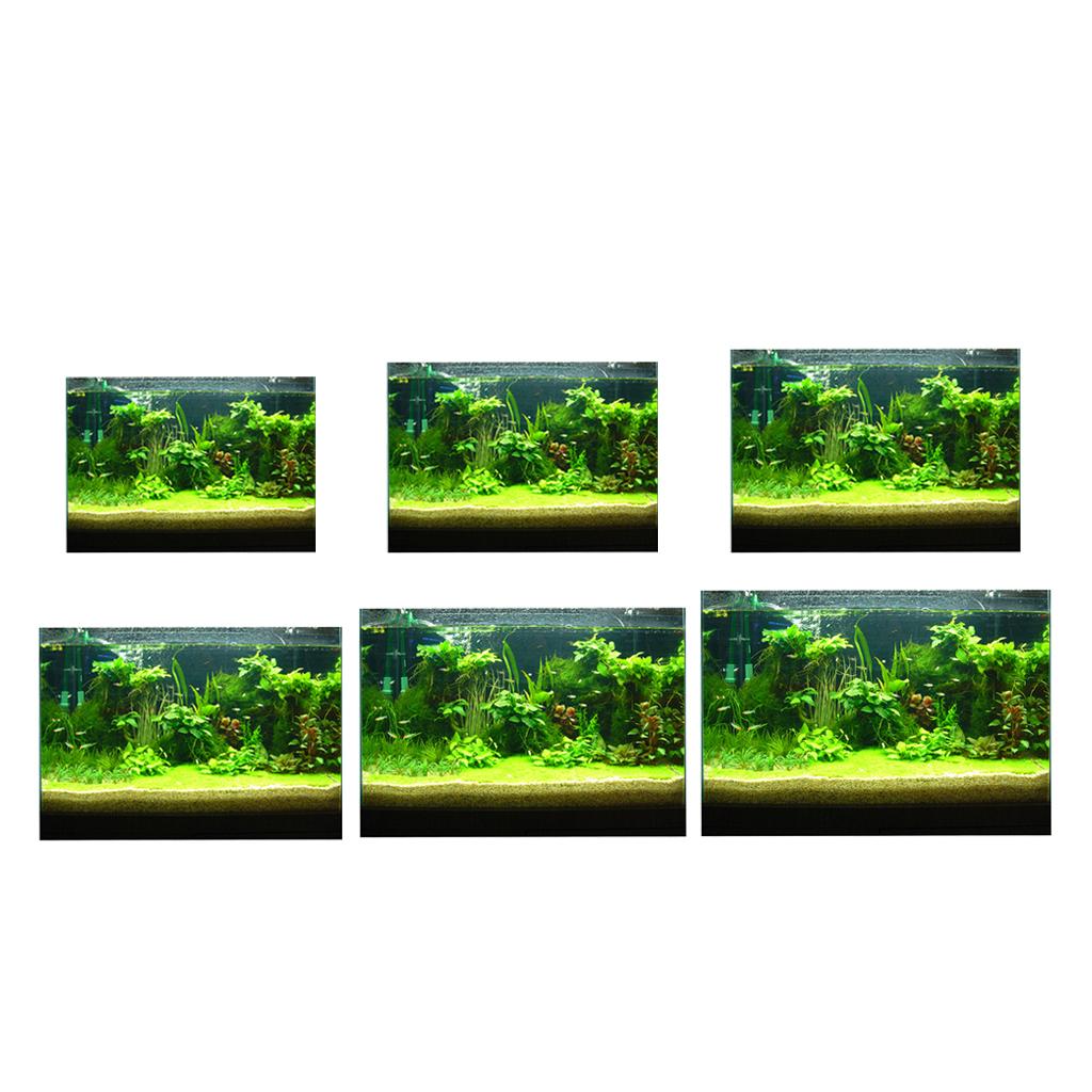 Pegatina 3D para Pecera, Image - Fish In Aquarium Picture reseña y precio