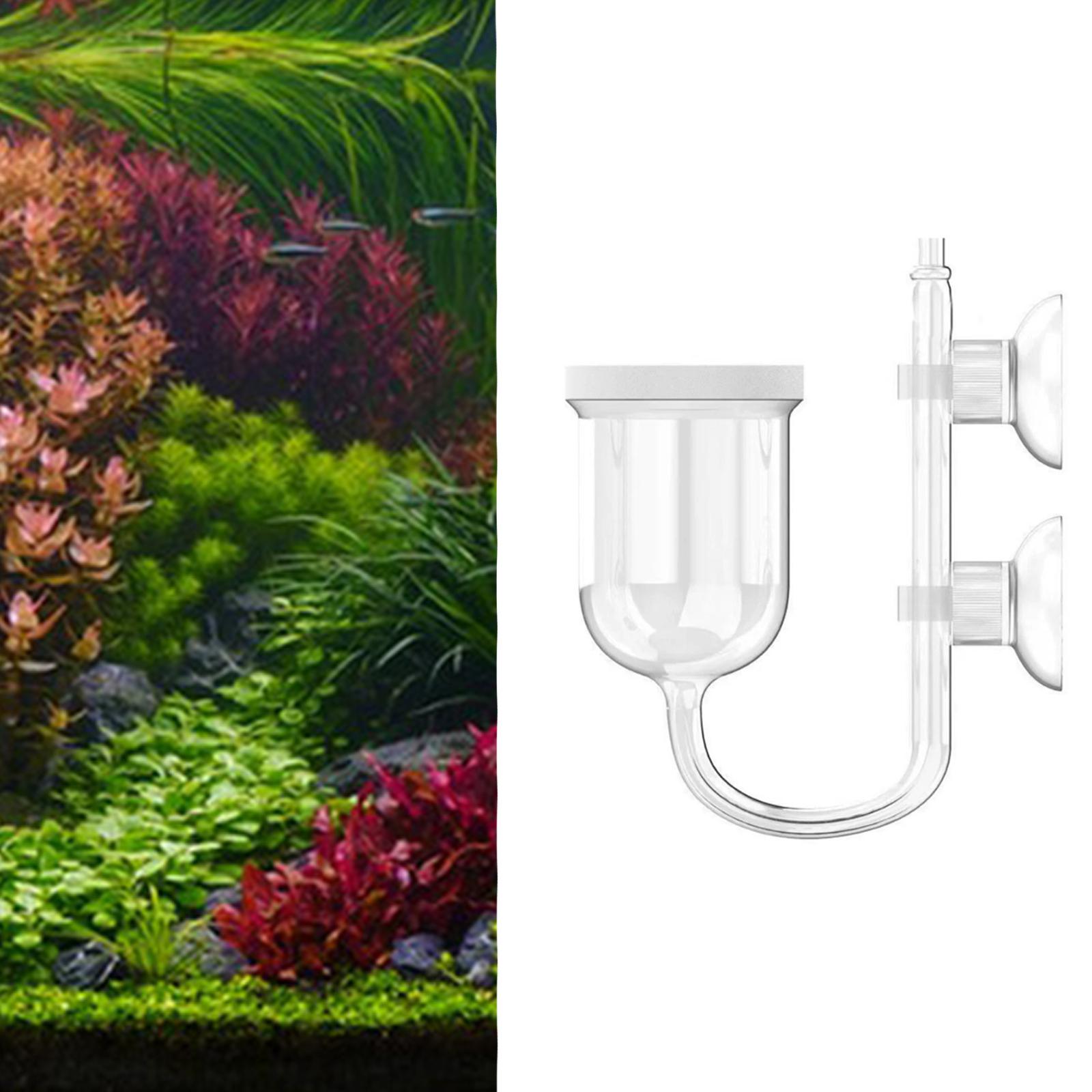 Difusor de CO2 para Acuario, V - Co2 Diffuser Planted reseña y precio