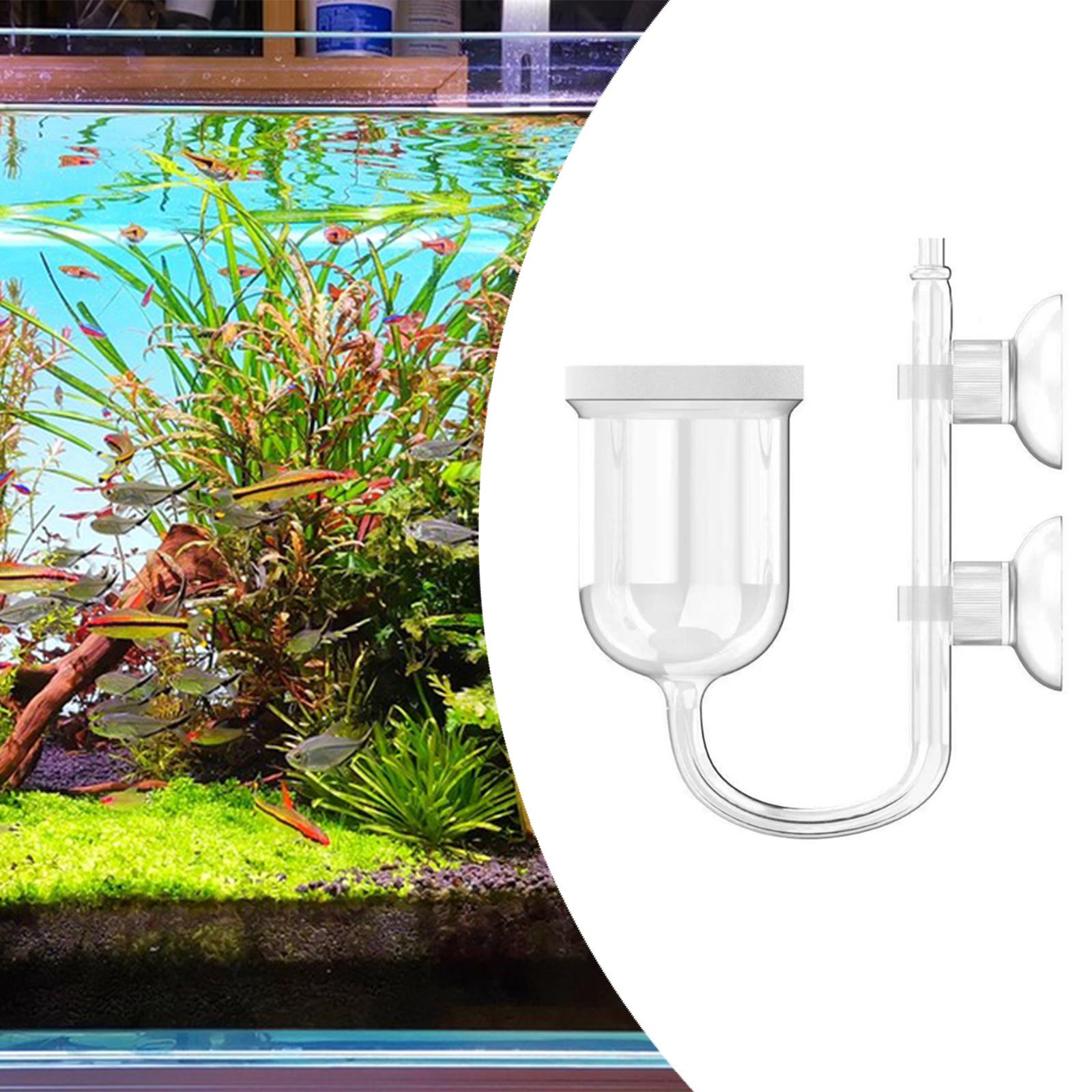 Difusor de CO2 para Acuario, V - Co2 Diffuser Planted reseña y precio