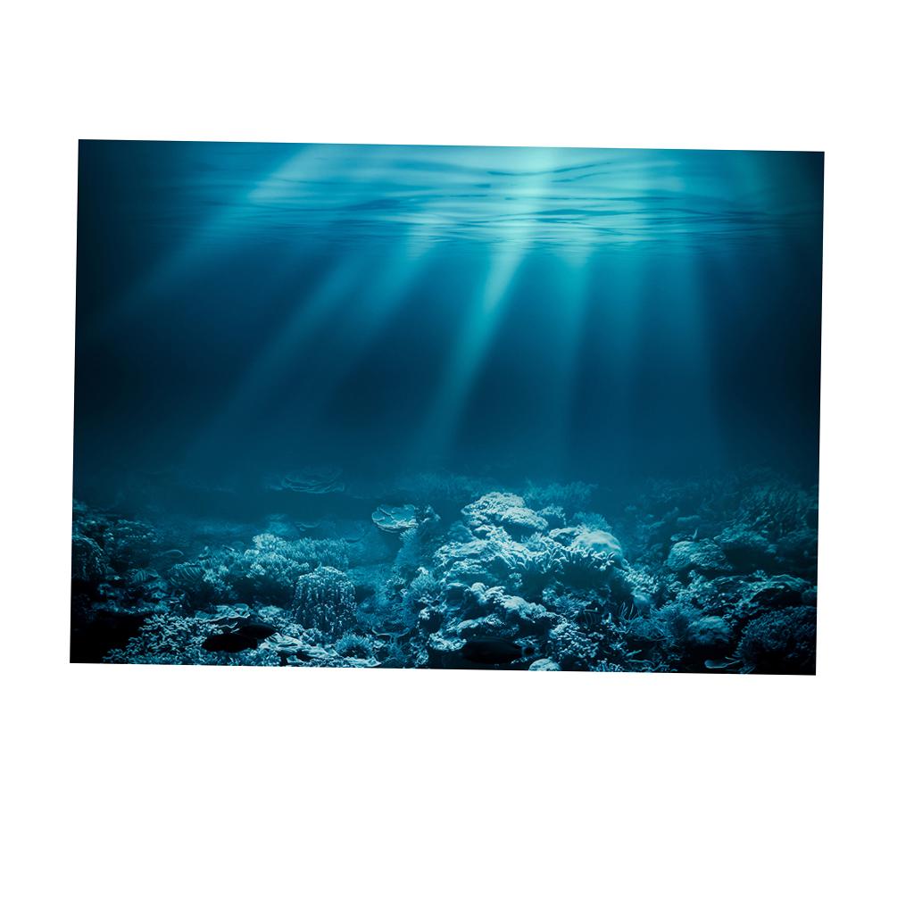 Pegatina Adhesiva para Pecera, - Fish In Aquarium Picture reseña y precio
