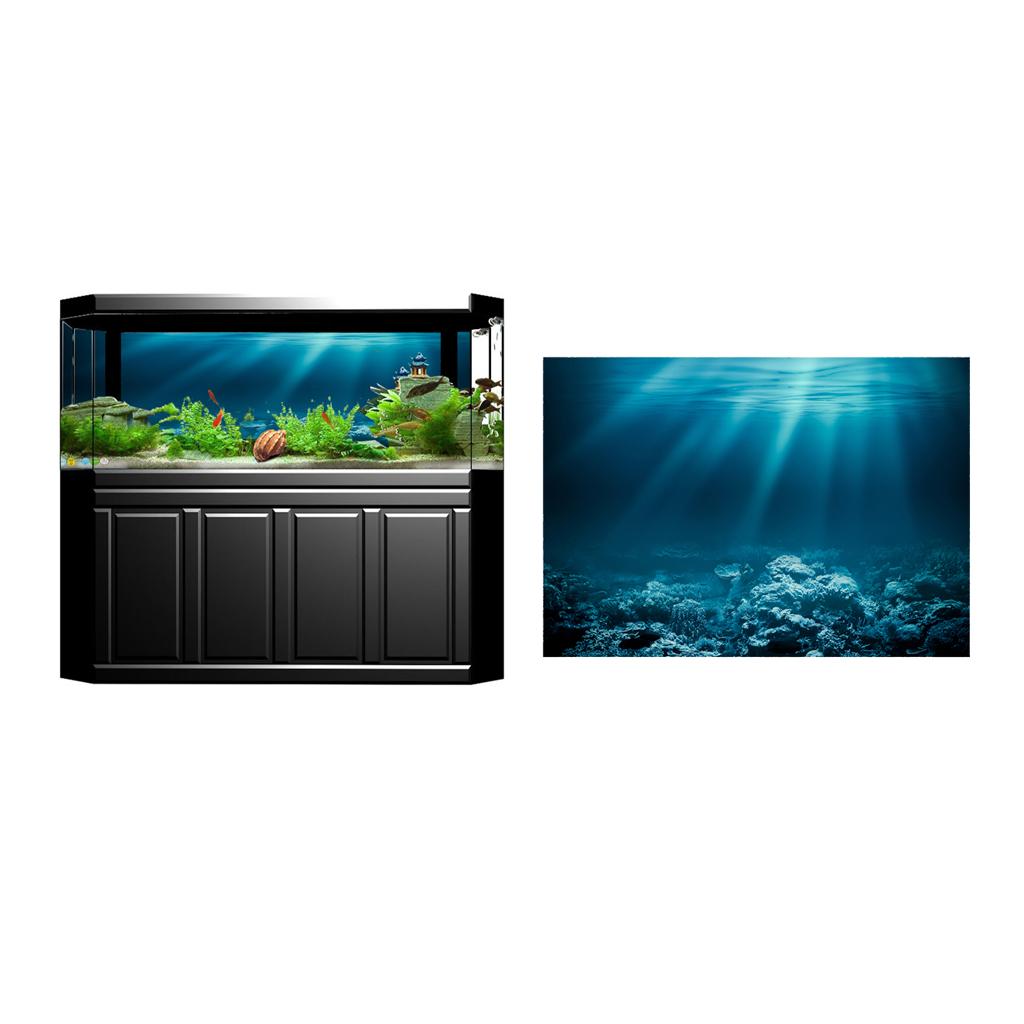 Pegatina Adhesiva para Pecera, - Fish In Aquarium Picture reseña y precio