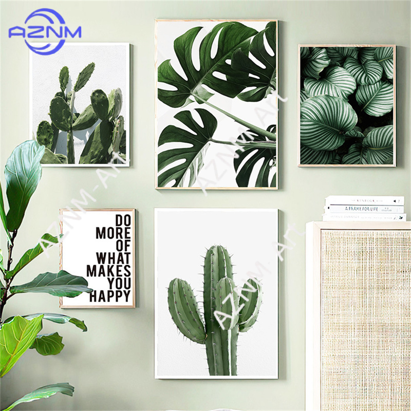 Póster de Monstera con diseño  - Live Plant Fertilizer reseña y precio