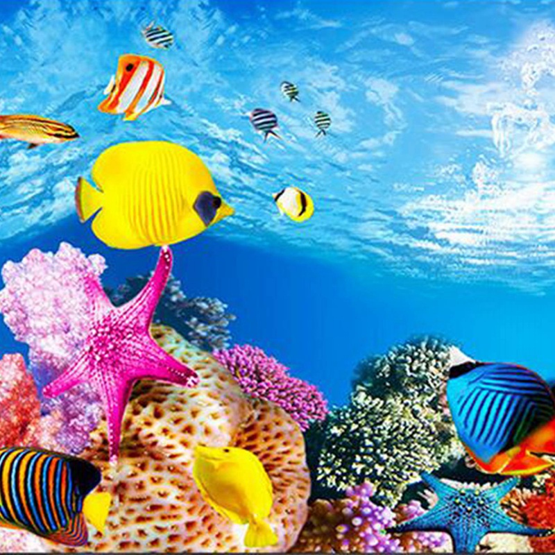 BAAU-papel de fondo para acuar - Fish In Aquarium Picture reseña y precio