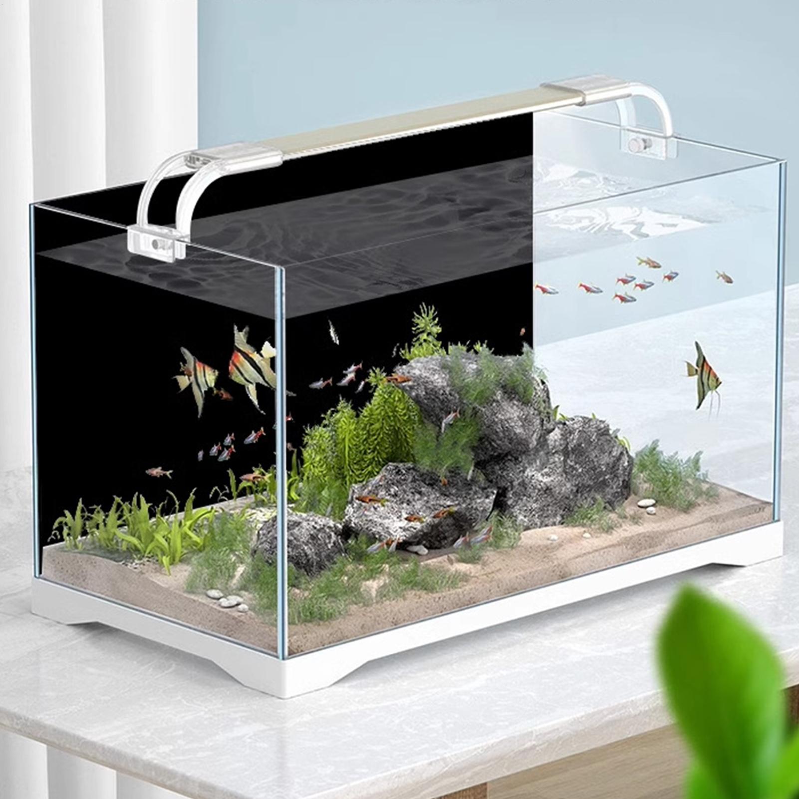 Fondo de Acuario Negro, Papel  - Fish In Aquarium Picture reseña y precio
