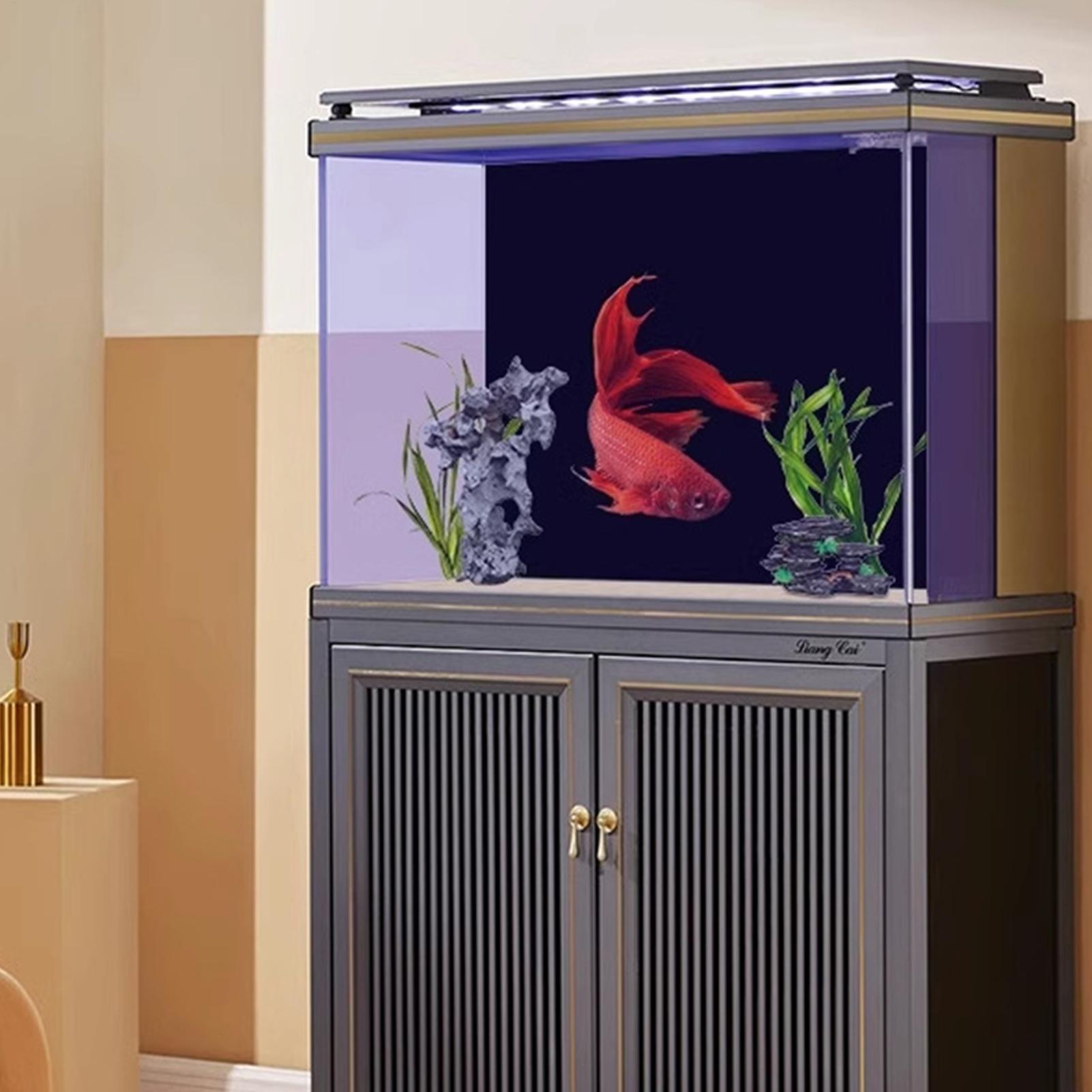 Fondo de Acuario Negro, Papel  - Fish In Aquarium Picture reseña y precio