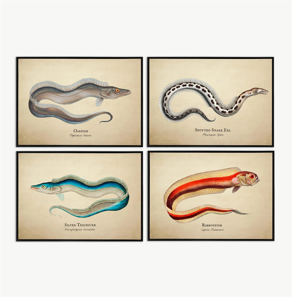 Imágenes Vintage de peces trop - Fish In Aquarium Picture reseña y precio