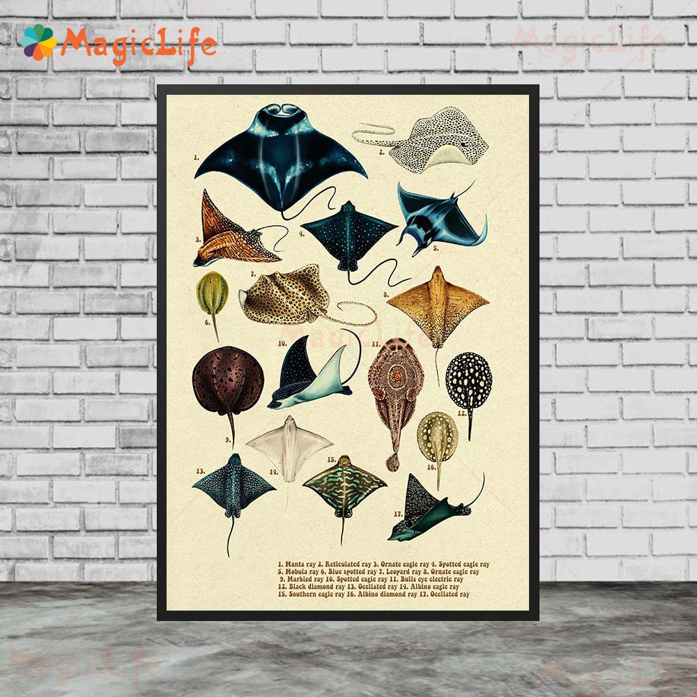 Carteles Vintage de peces mari - Fish In Aquarium Picture reseña y precio