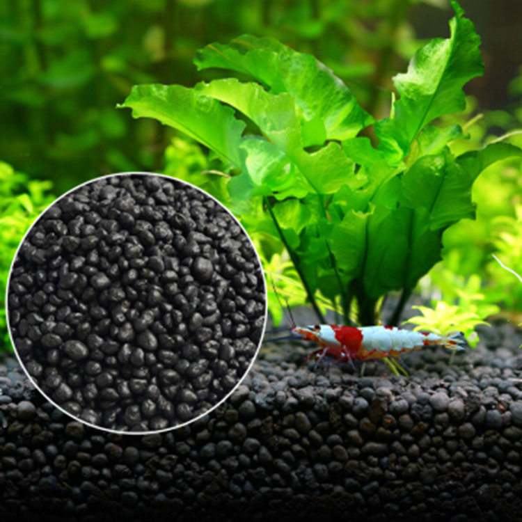 Semillas de plantas de Acuario - Aquarium Fish Items reseña y precio