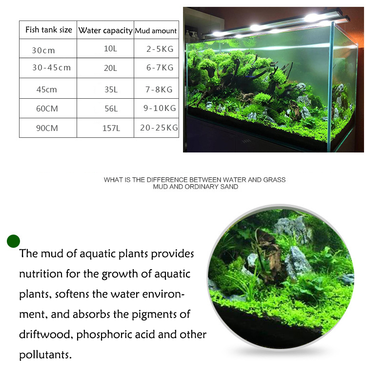Semillas de plantas de Acuario - Aquarium Fish Items reseña y precio