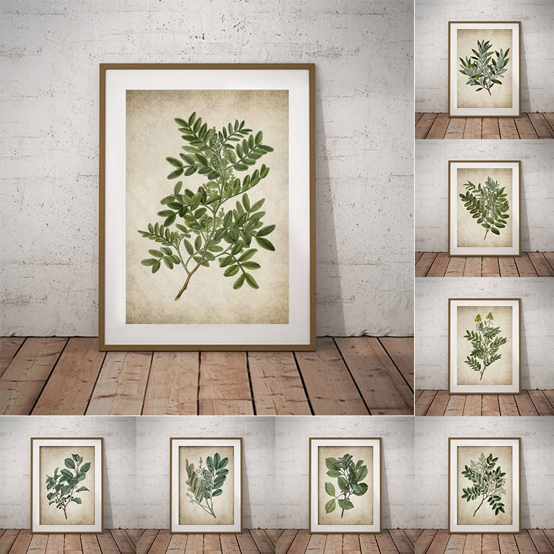 Póster botánico de hoja verde  - Live Plant Fertilizer reseña y precio