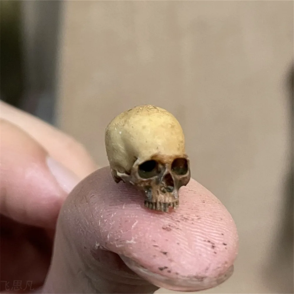 Mini calavera, modelo en minia - Aquarium Fish Items reseña y precio