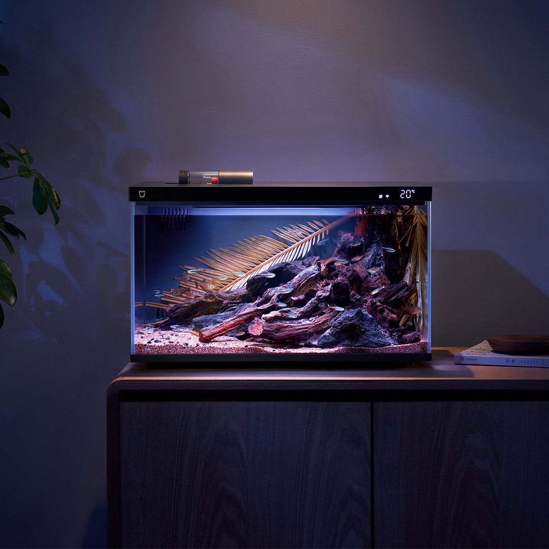 Xiaomi Mijia-tanque de peces i - Aquarium Fish Items reseña y precio