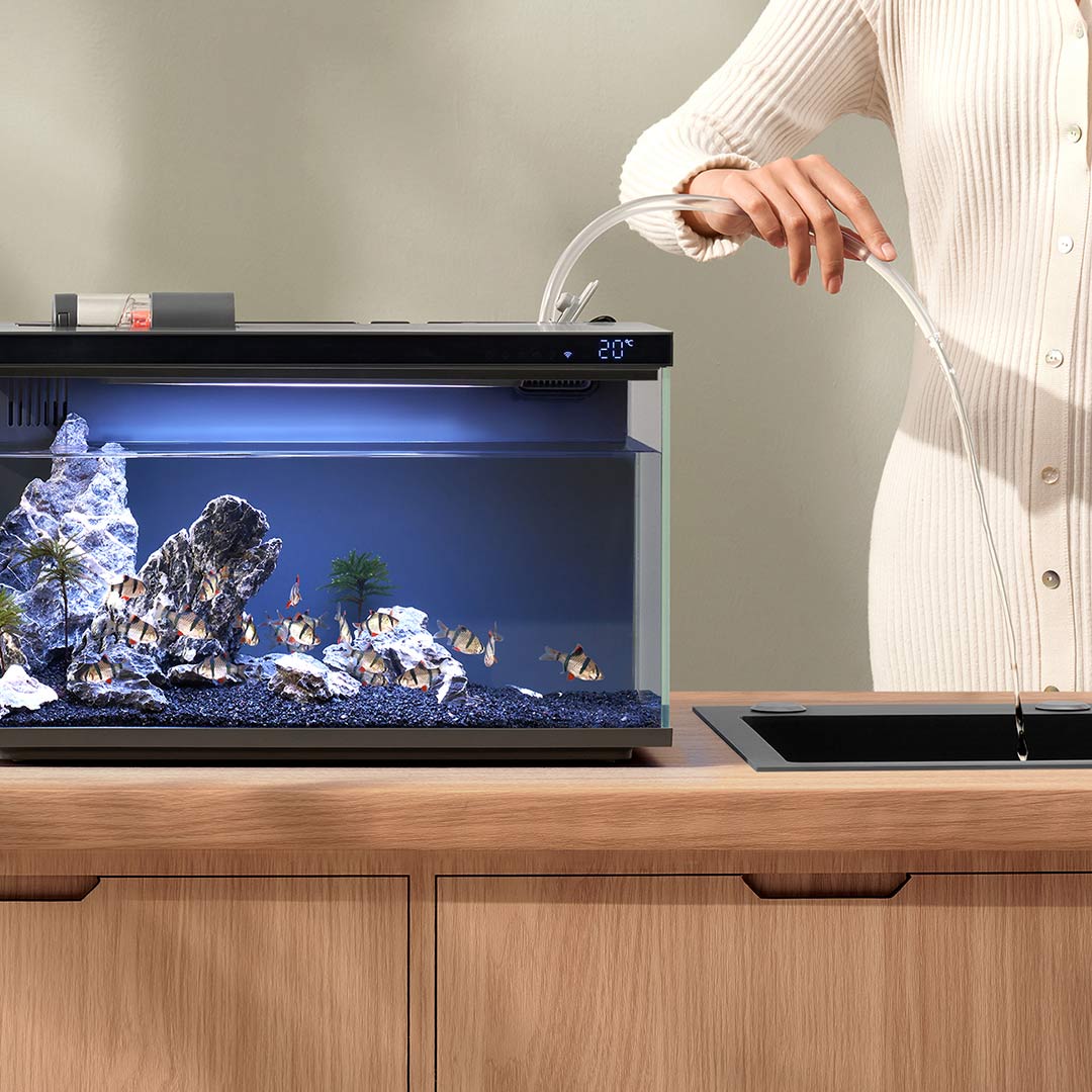 Xiaomi Mijia-tanque de peces i - Aquarium Fish Items reseña y precio