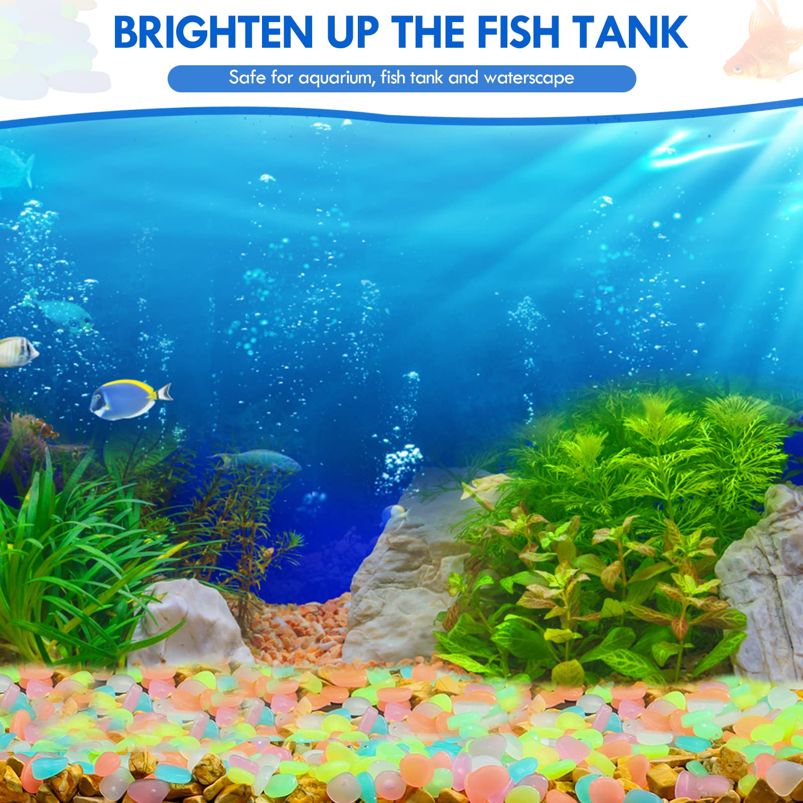 100 Uds. De guijarros que bril - Aquarium Fish Bowl reseña y precio