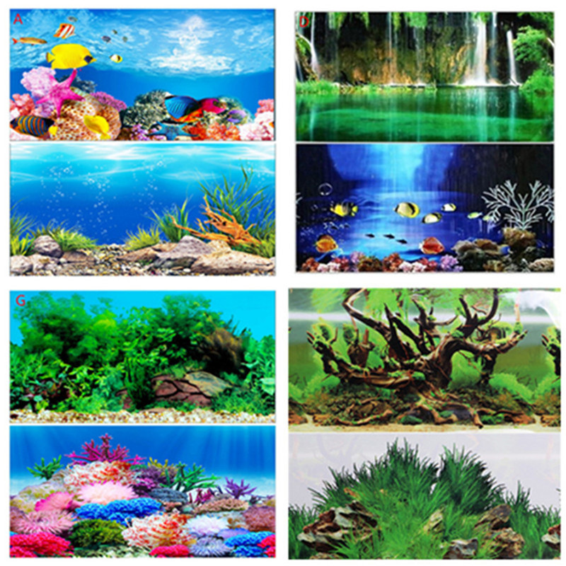 Póster de Fondo para Acuario d - Fish In Aquarium Picture reseña y precio