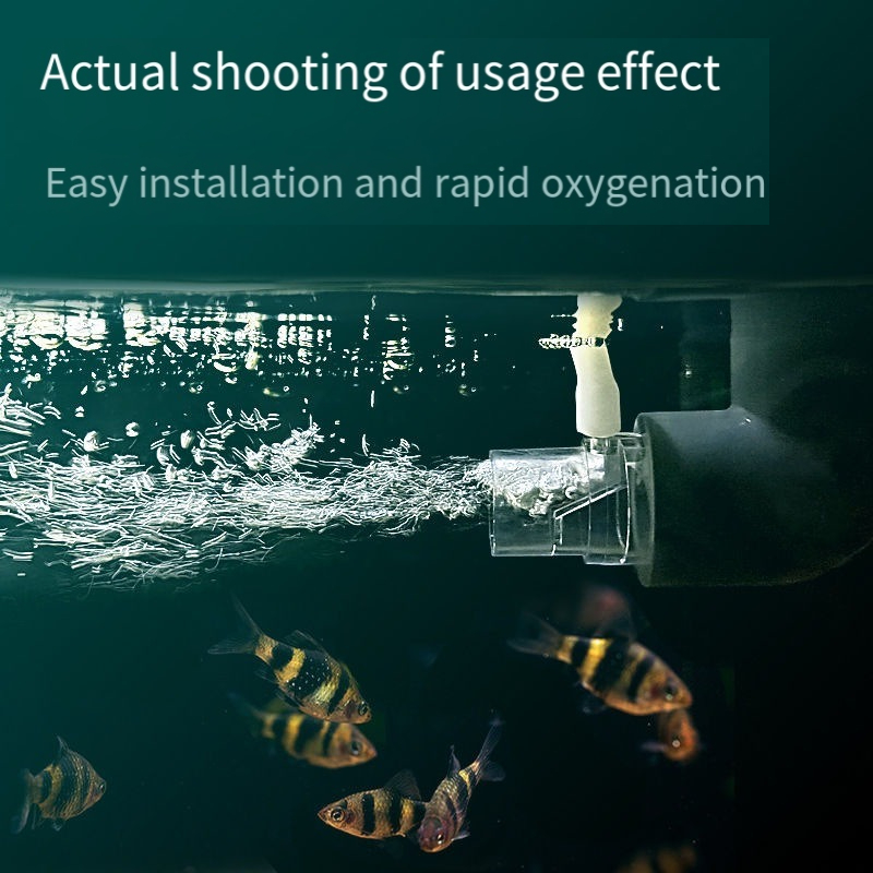 Filtro de tubo difusor de oxíg - Aquarium Fish Without Oxygen reseña y precio