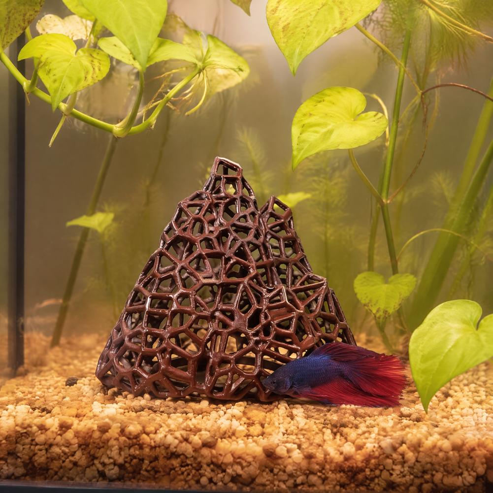 Adorno de Paisaje Acuático, De - Fish In Aquarium Picture reseña y precio