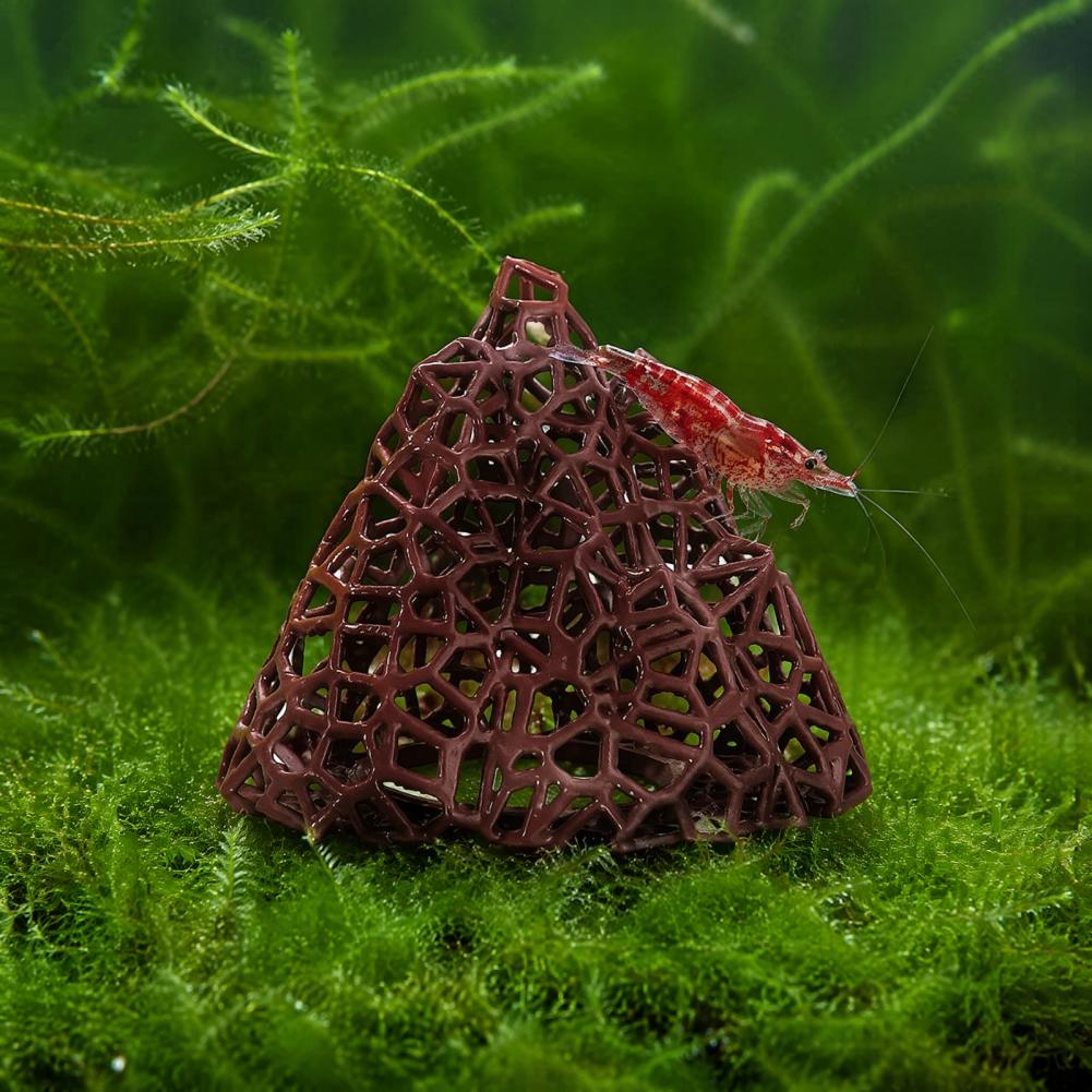 Adorno de Paisaje Acuático, De - Fish In Aquarium Picture reseña y precio