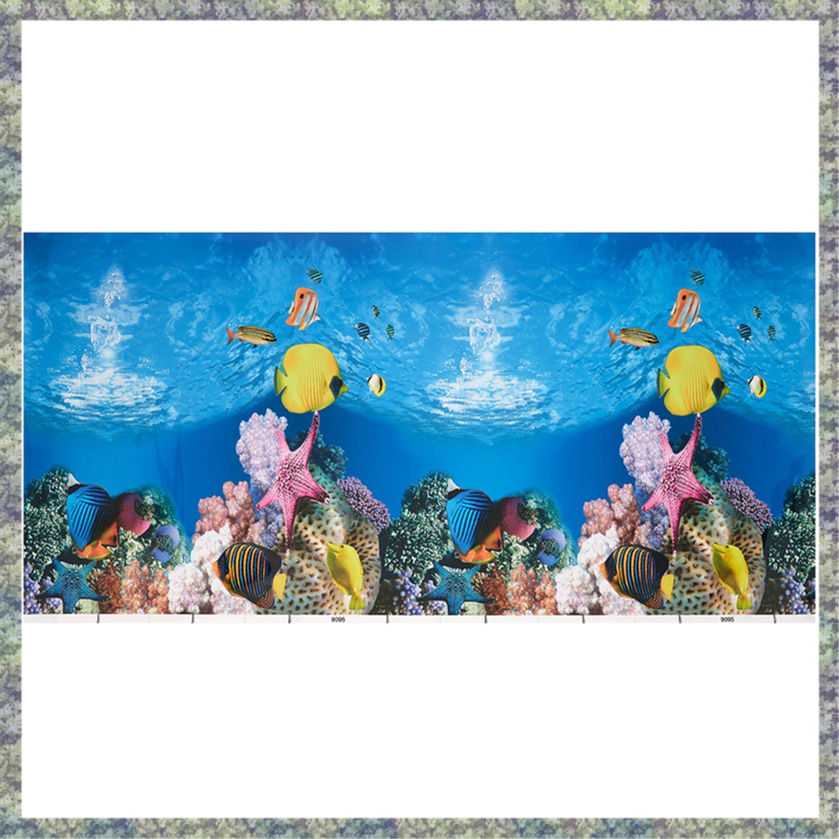 Papel de fondo de acuario WON, - Fish In Aquarium Picture reseña y precio